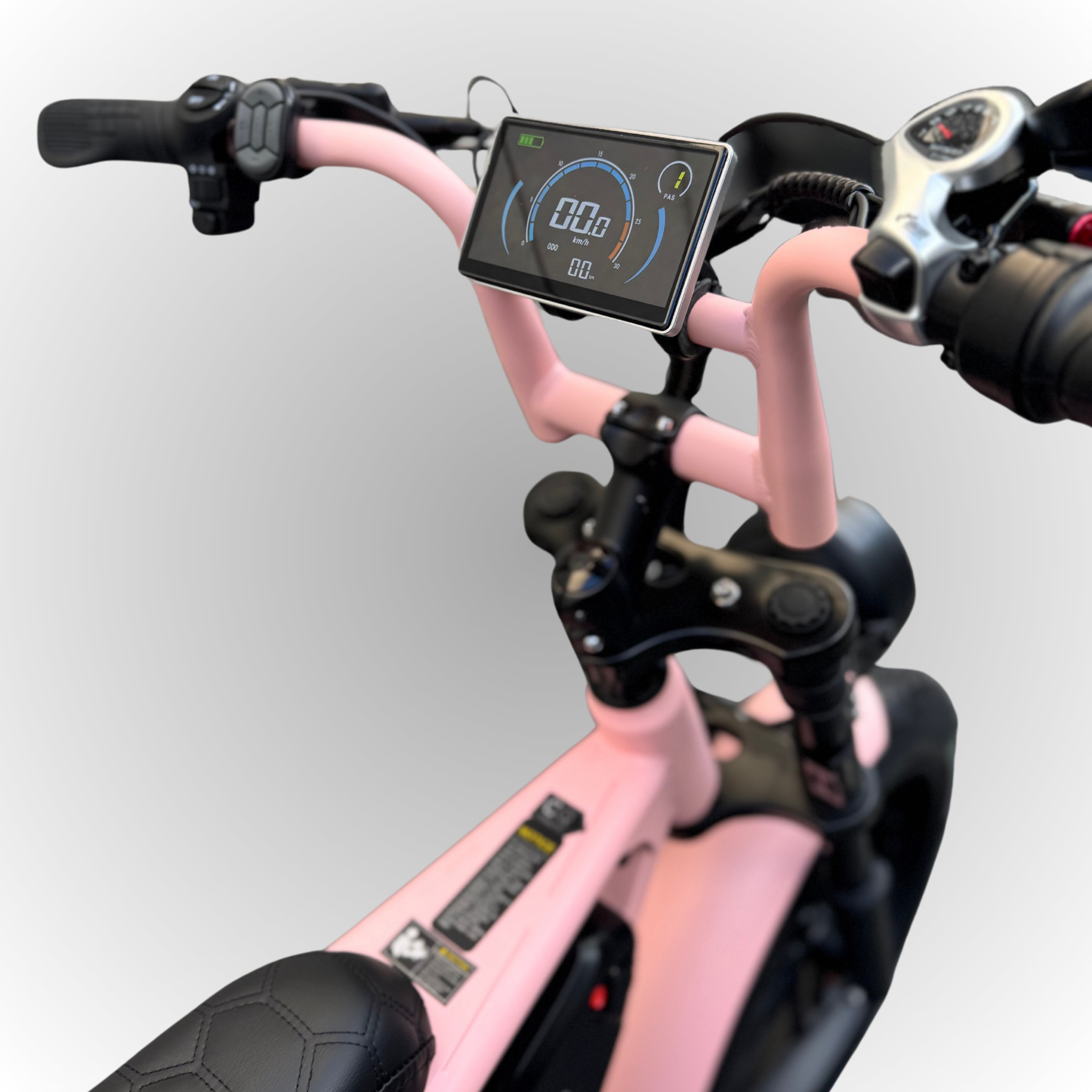 Elektrische Fatbike 250W Dowe V9 met Voor-Krat 